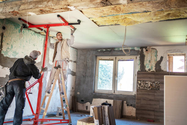 Best Insulation Contractors for Homes  in Albemarle, NC