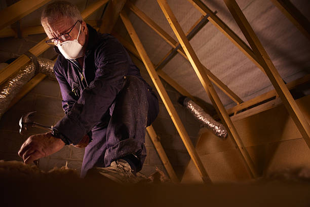 Best Cellulose Insulation  in Albemarle, NC