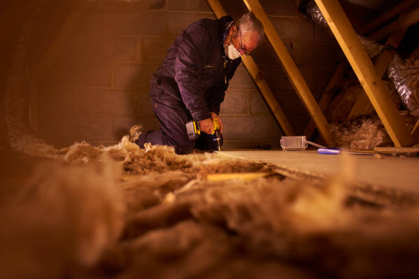 Best Insulation Inspection Services  in Albemarle, NC